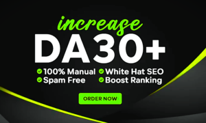 Increase DA Upto 30+ and Get High Ranking in Google