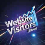 Website Visitors (Silver)